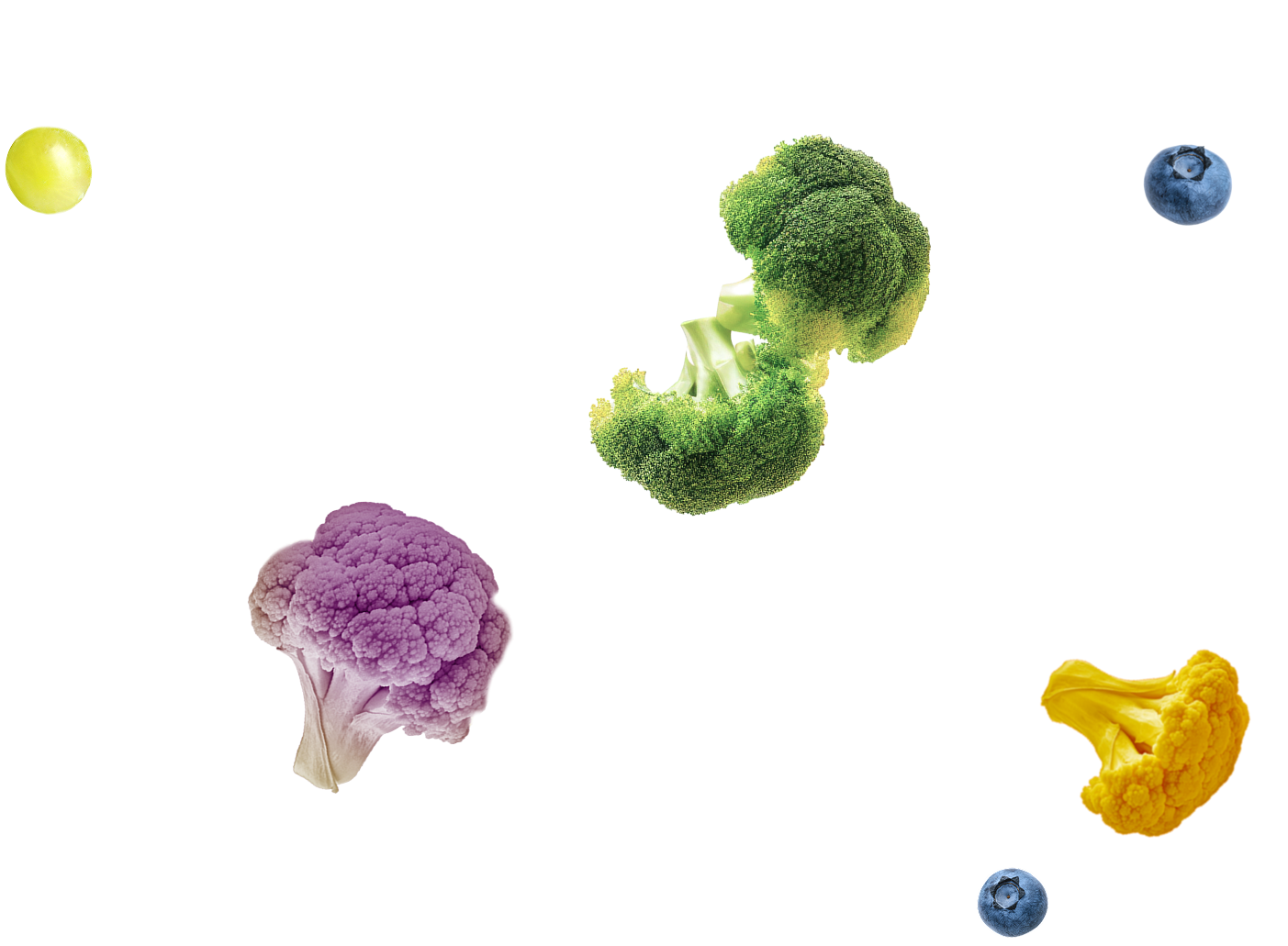 Peviani - Sito web ufficiale - Diamo valore alla natura